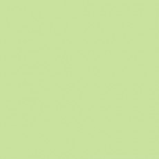 LEE - Rouleau de gélatine - couleur Pale Green 138 - Dim. 7,62m x 1,22m (Neuf)