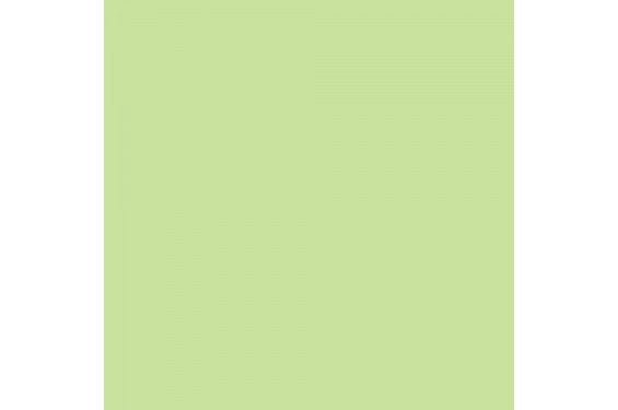 LEE - Gel roll - color Pale Green 138 (New)