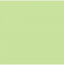LEE - Rouleau de gélatine - couleur Pale Green 138 - Dim. 7,62m x 1,22m (Neuf)