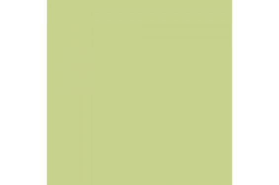 LEE - Rouleau de g&eacute;latine - couleur Plus Green 244 - Dim. 7,62m x 1,22m (Neuf)