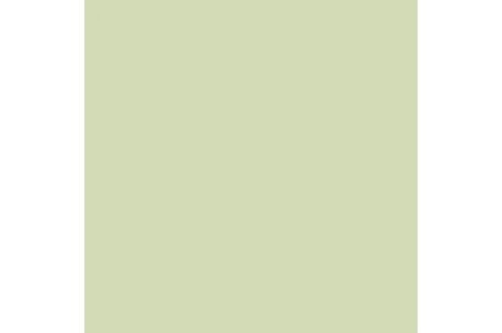 LEE - Rouleau de g&eacute;latine - couleur White Flame Green 213 - Dim. 7,62m x 1,22m (Neuf)