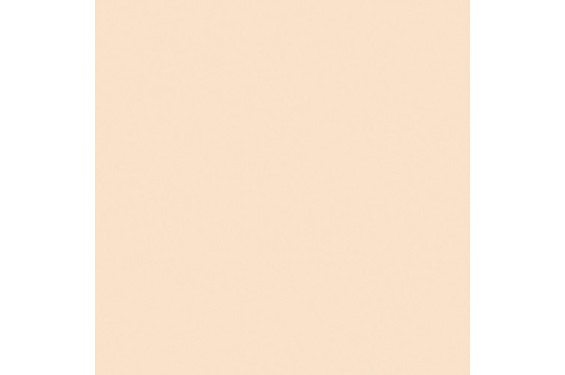 LEE - Rouleau de g&eacute;latine - couleur Quarter CT Orange 206 -  Dim. 7,62m x 1,22m (Neuf)