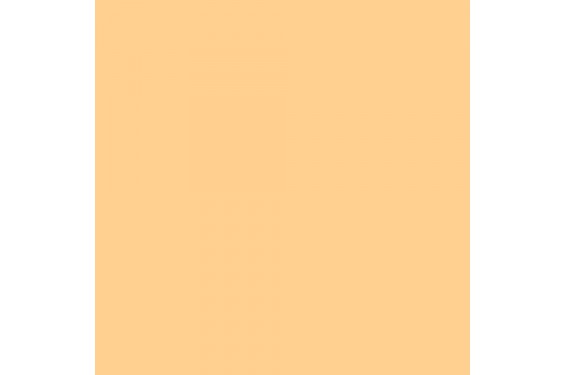 LEE - Rouleau de gélatine - couleur Straw Tint 013 - Dim. 7,62m x 1,22m (Neuf)