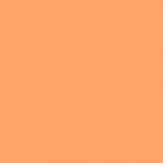 LEE - Rouleau de gélatine - couleur Apricot 147 - Dim. 7,62m x 1,22m (Neuf)