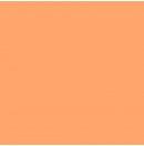 LEE - Rouleau de gélatine - couleur Apricot 147 - Dim. 7,62m x 1,22m (Neuf)