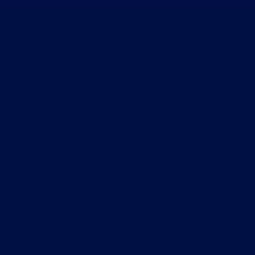 L-ACOUSTICS - Option Peinture Bleu saphir RAL 5003 - sur demande
