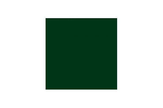 L-ACOUSTICS - Option Peinture Vert mousse RAL 6005 - sur demande