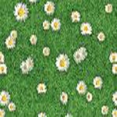 Flower look carpet roll - 30mx1.5m (New)