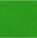 Rouleau de moquette Vert Printemps avec film - 40mx2m (Neuf)