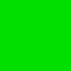 Rouleau de moquette Vert avec film - 40mx2m (Neuf)