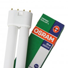 OSRAM - Dulux L - 55W - Blanc Froid - 4-Pins (Neuf)