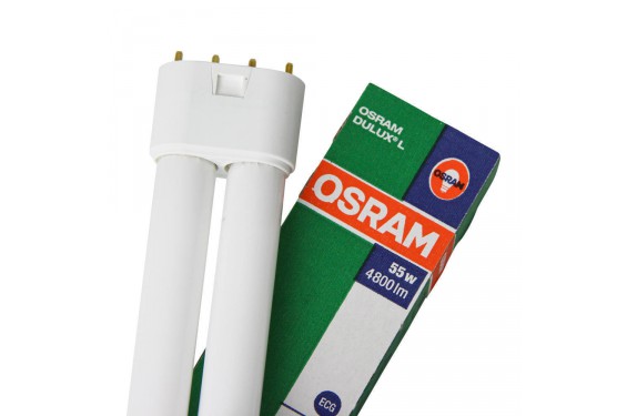 OSRAM - Dulux L - 55W - Blanc Froid - 4-Pins (Neuf)
